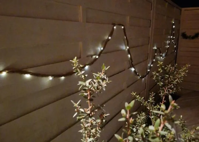 Pinea - Authentique En Pin Des Landes Villa *