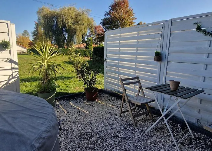 Pinea - Authentique En Pin Des Landes * Saint-Yaguen